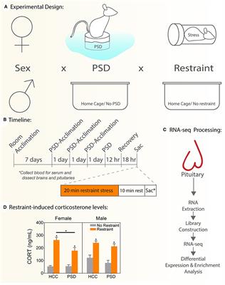 Sleep Deprivation Alters the Pituitary Stress Transcriptome in Male and Female Mice